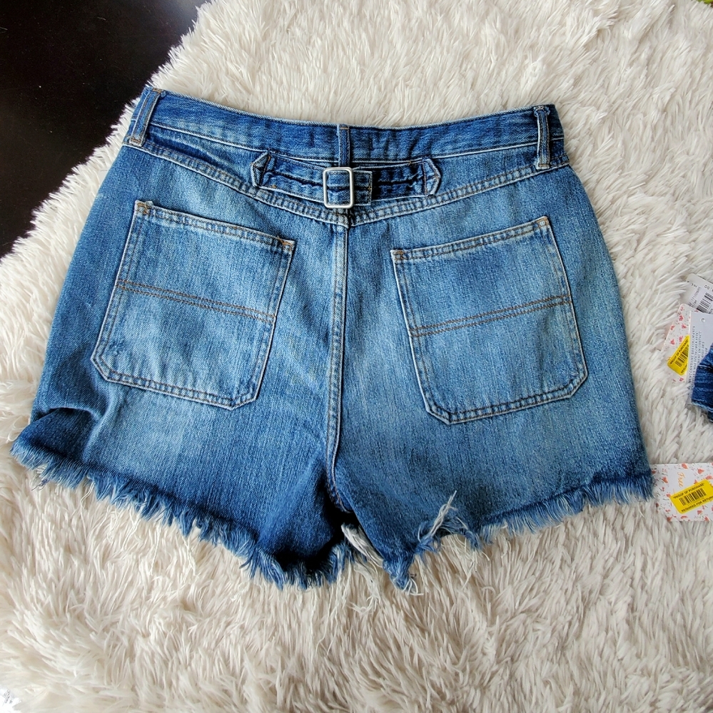 We the Free Jesse Carpenter Midlands Denim Shorts - Picture 5 of 7